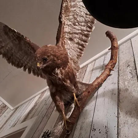 Accommodatie bij particulieren Kule Gule Huset *