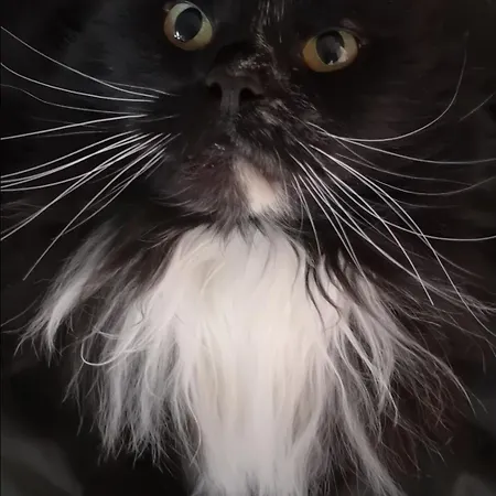 Kule Gule Huset Accommodatie bij particulieren Svolvær