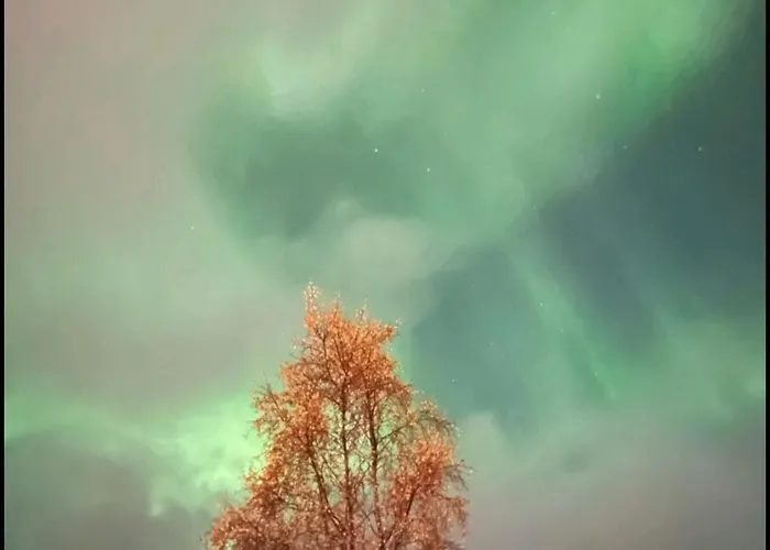 Kule Gule Huset 民宿 *